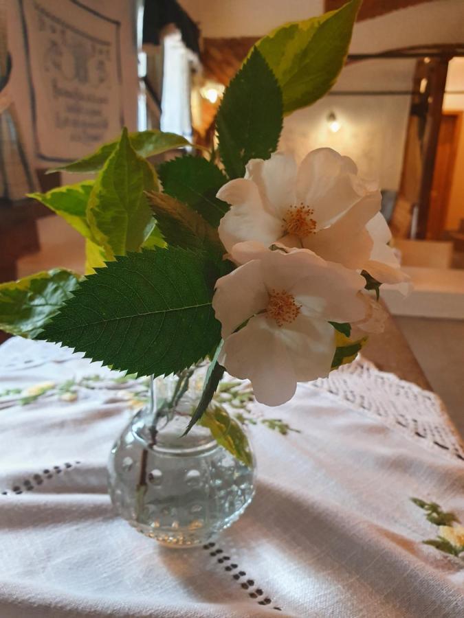 Landhof Steinbaeck Hotel Sankt Stefan ob Stainz ภายนอก รูปภาพ