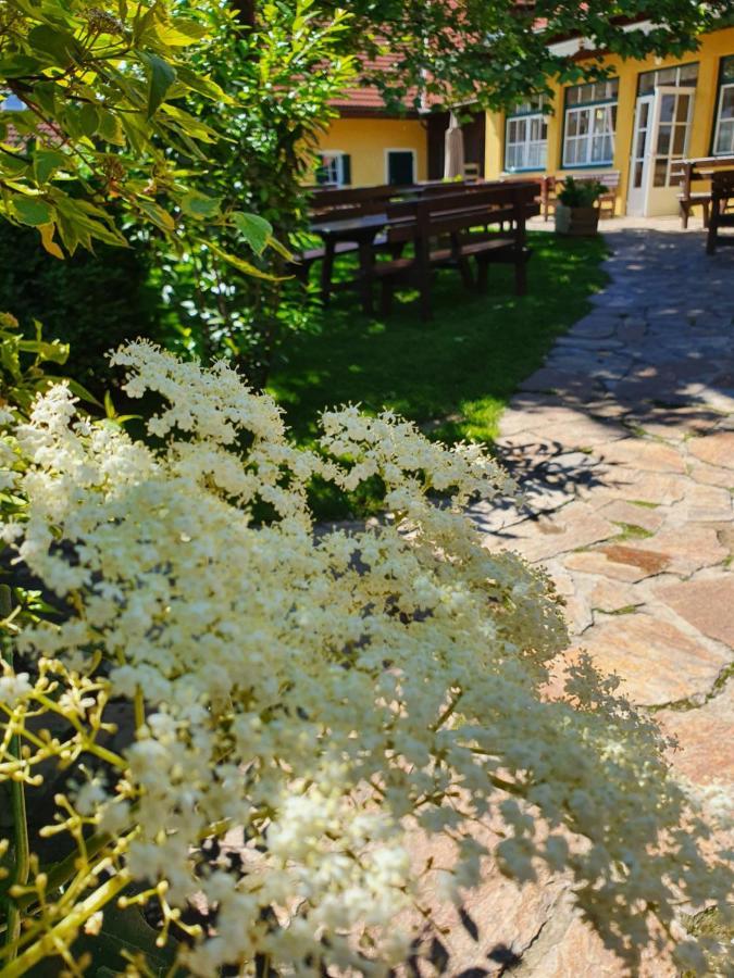 Landhof Steinbaeck Hotel Sankt Stefan ob Stainz ภายนอก รูปภาพ