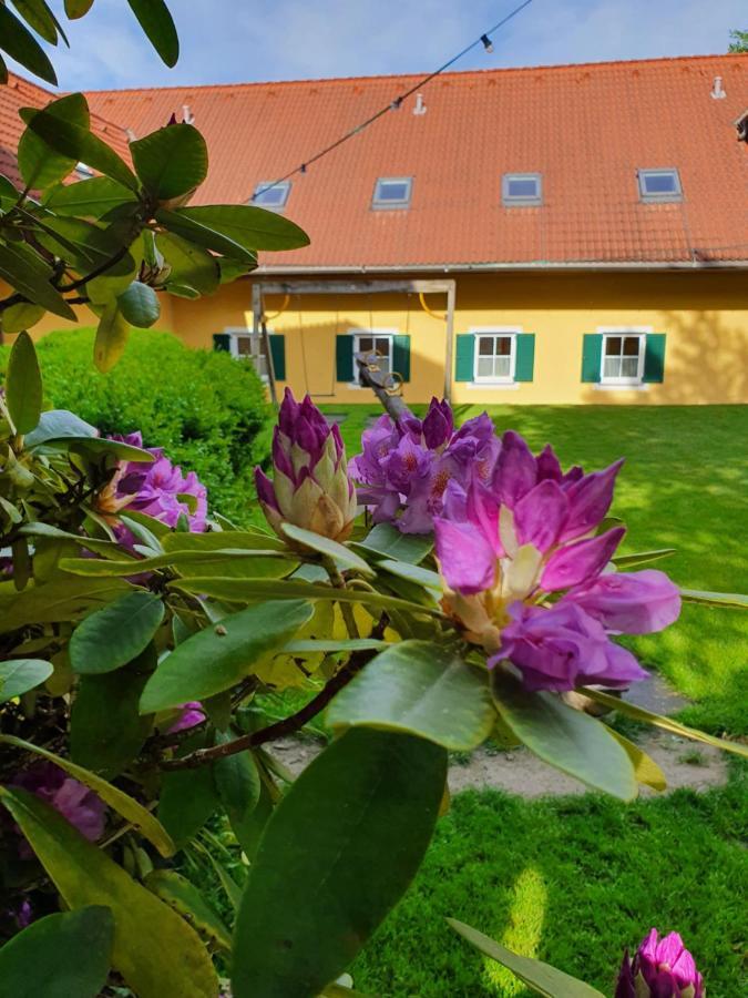 Landhof Steinbaeck Hotel Sankt Stefan ob Stainz ภายนอก รูปภาพ